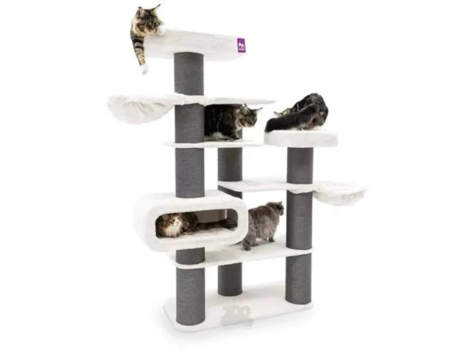 The Rebels Bengal 199 (108x55x199) - Petrebels