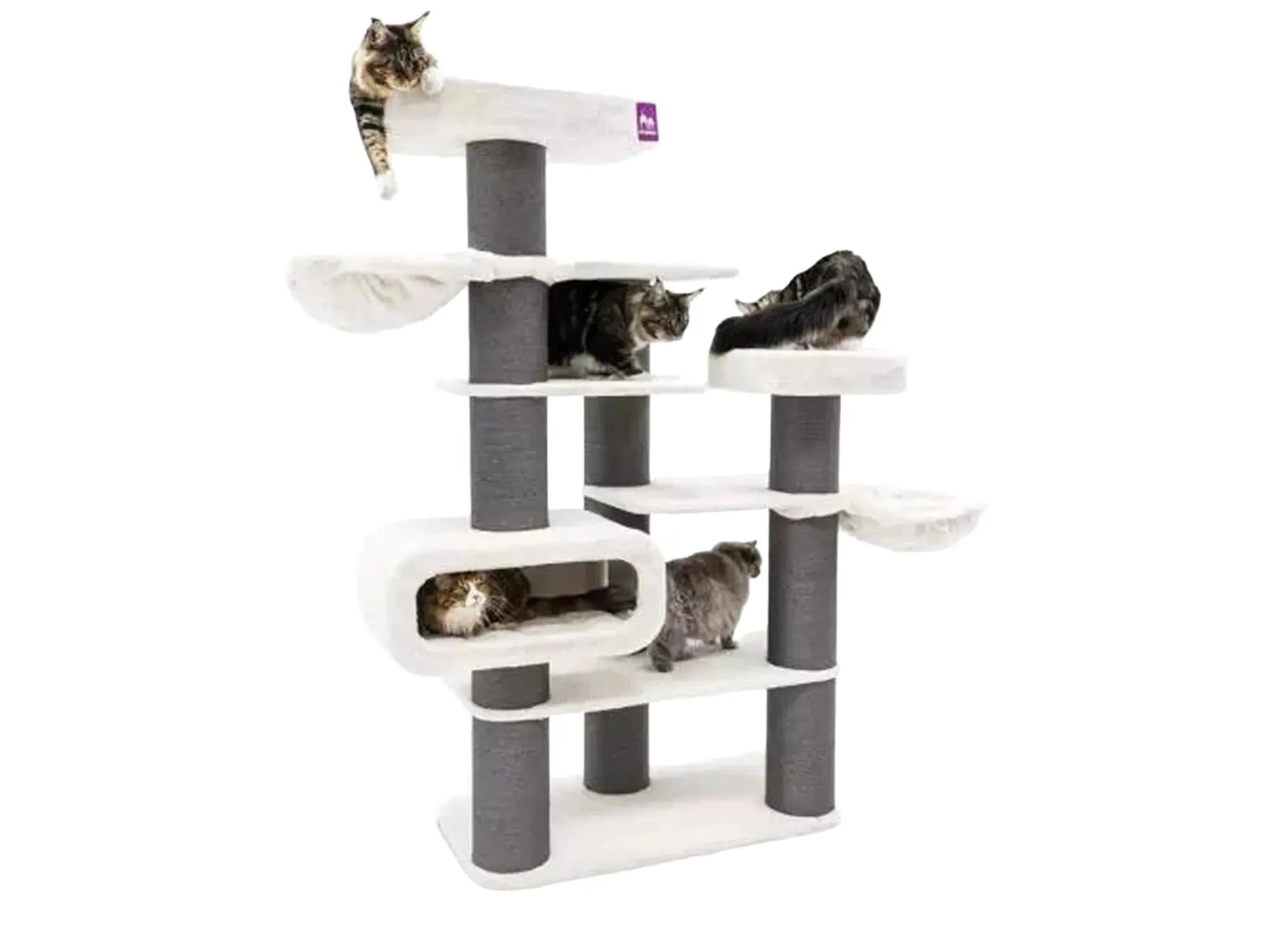 Høyt Petrebels Bengal 199 kloretre i off-white og grå sisal med flere katter på plattformer og i huler.