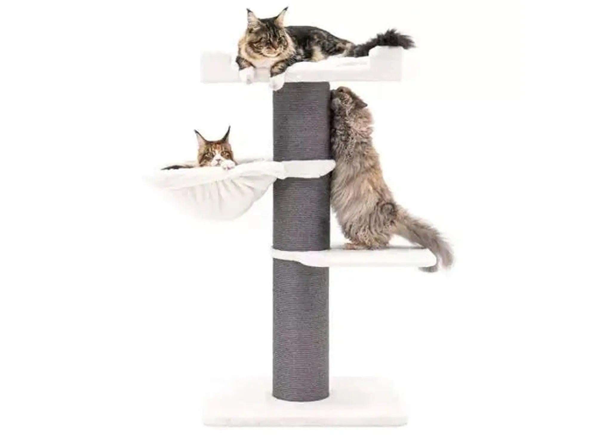 Off-white og grått Petrebels Maine Coon 127 kloretre med sisalstolpe, hengekøye og to katter.
