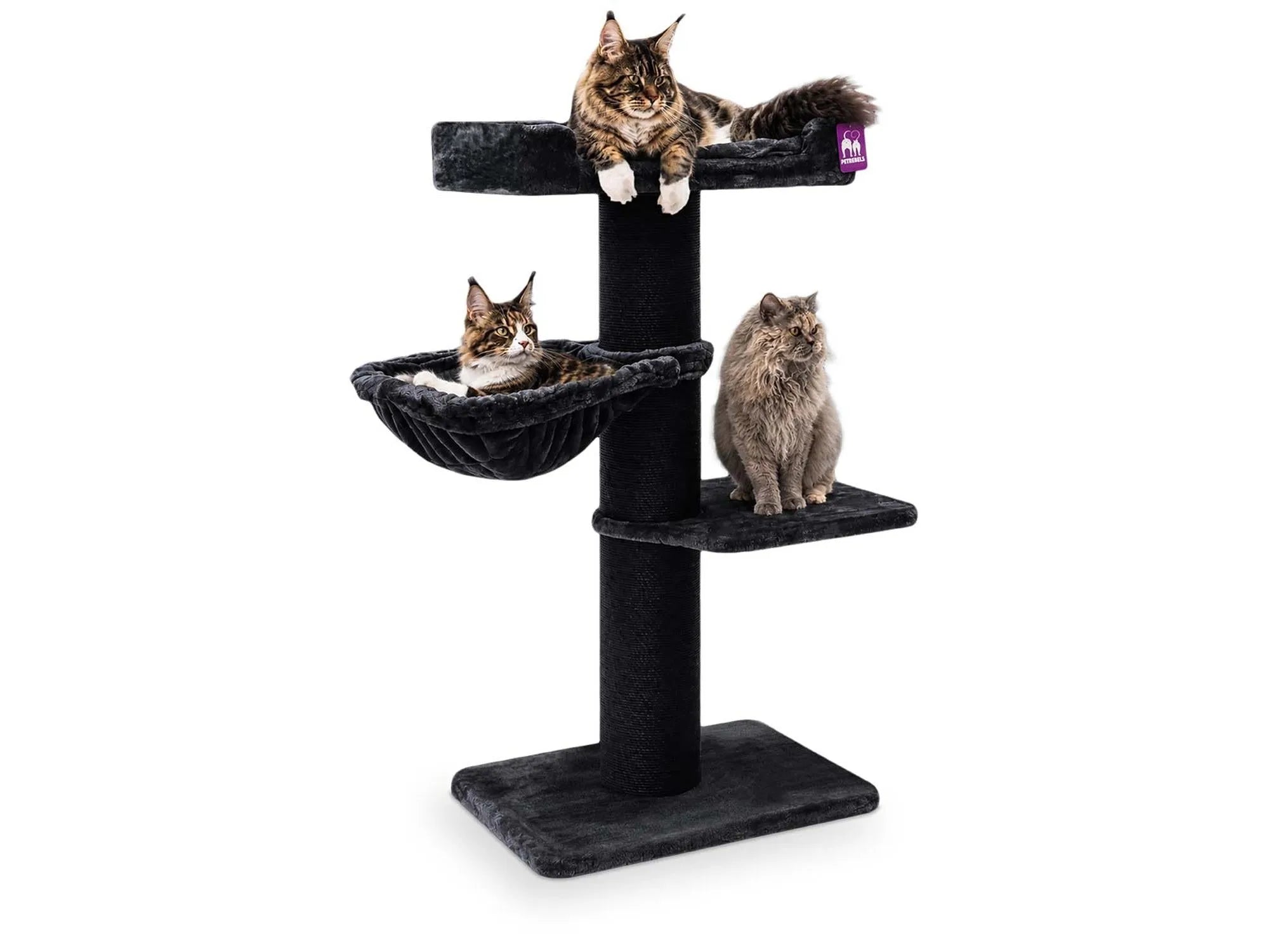 Petrebels Maine Coon 127 kattetre i pepper