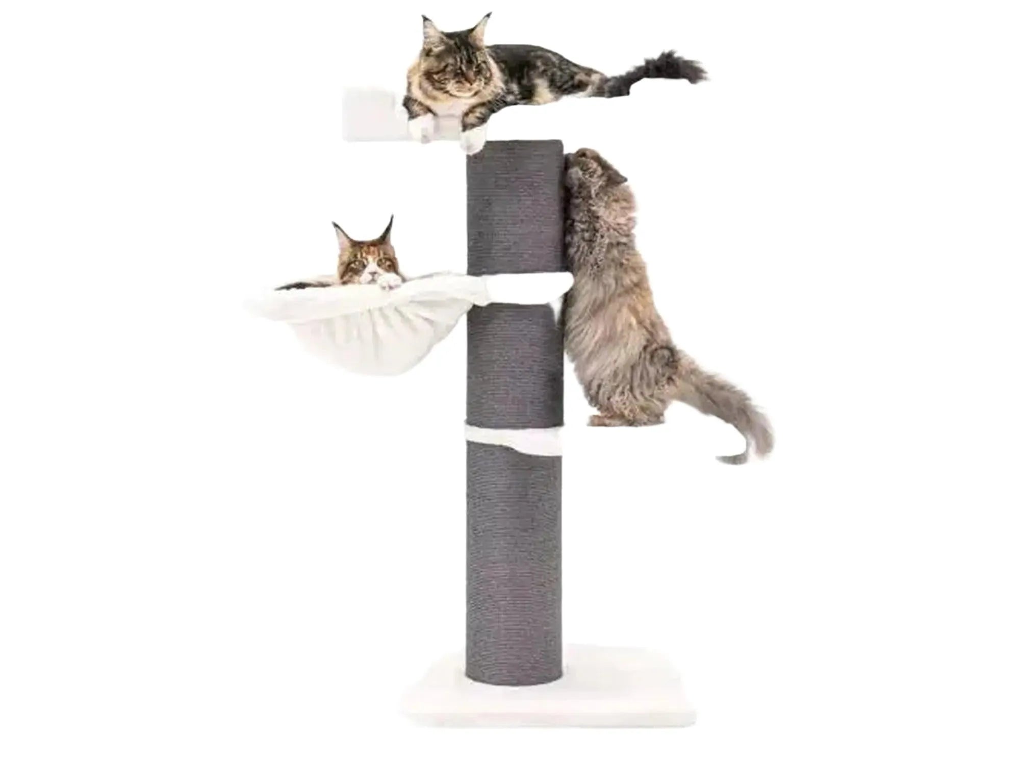 Off-white og grått Petrebels Maine Coon 127 kloretre med sisalstolpe, hengekøye og to katter.