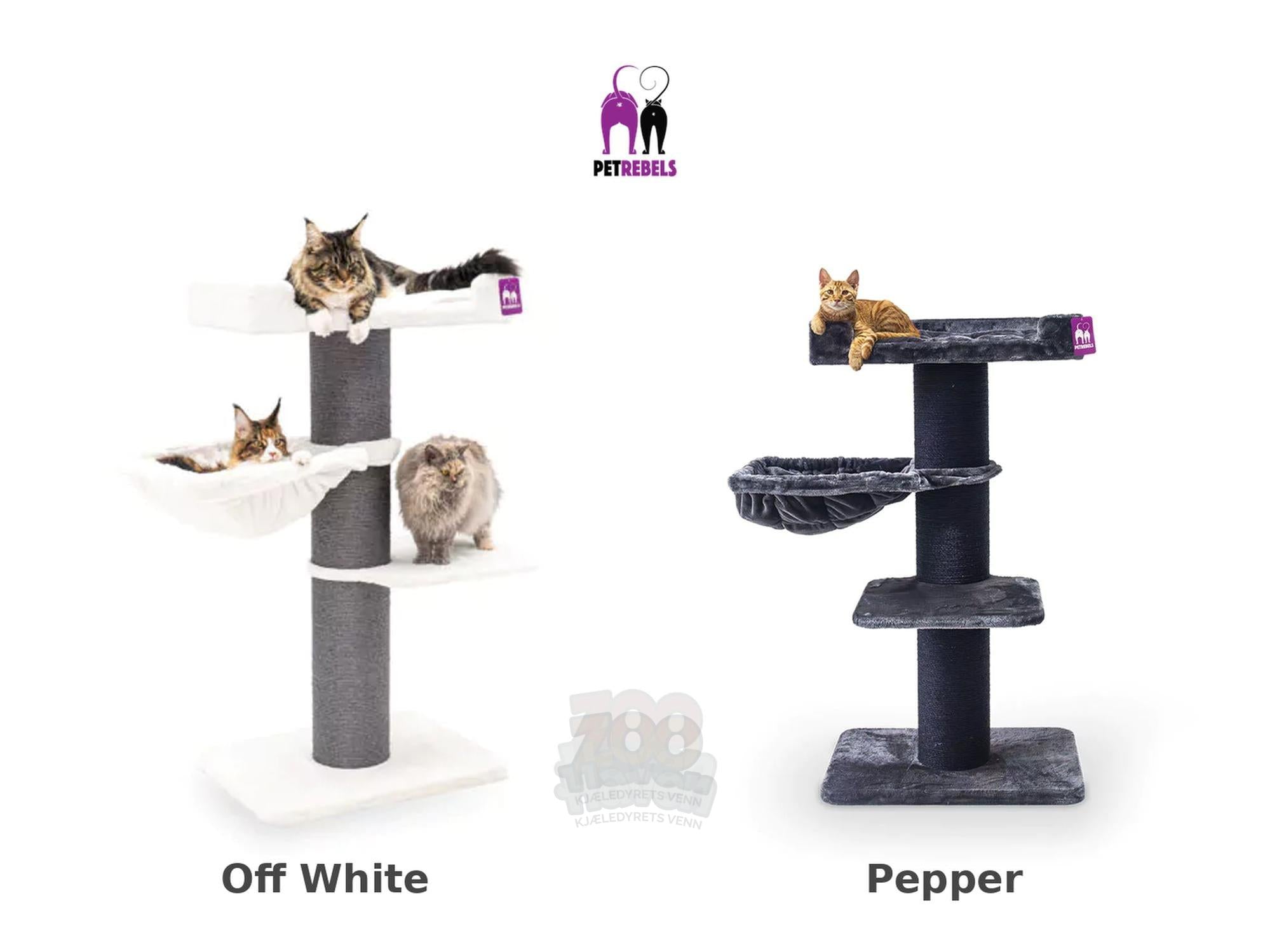 The Rebels Maine Coon 127 (68x48x127cm) - Petrebels