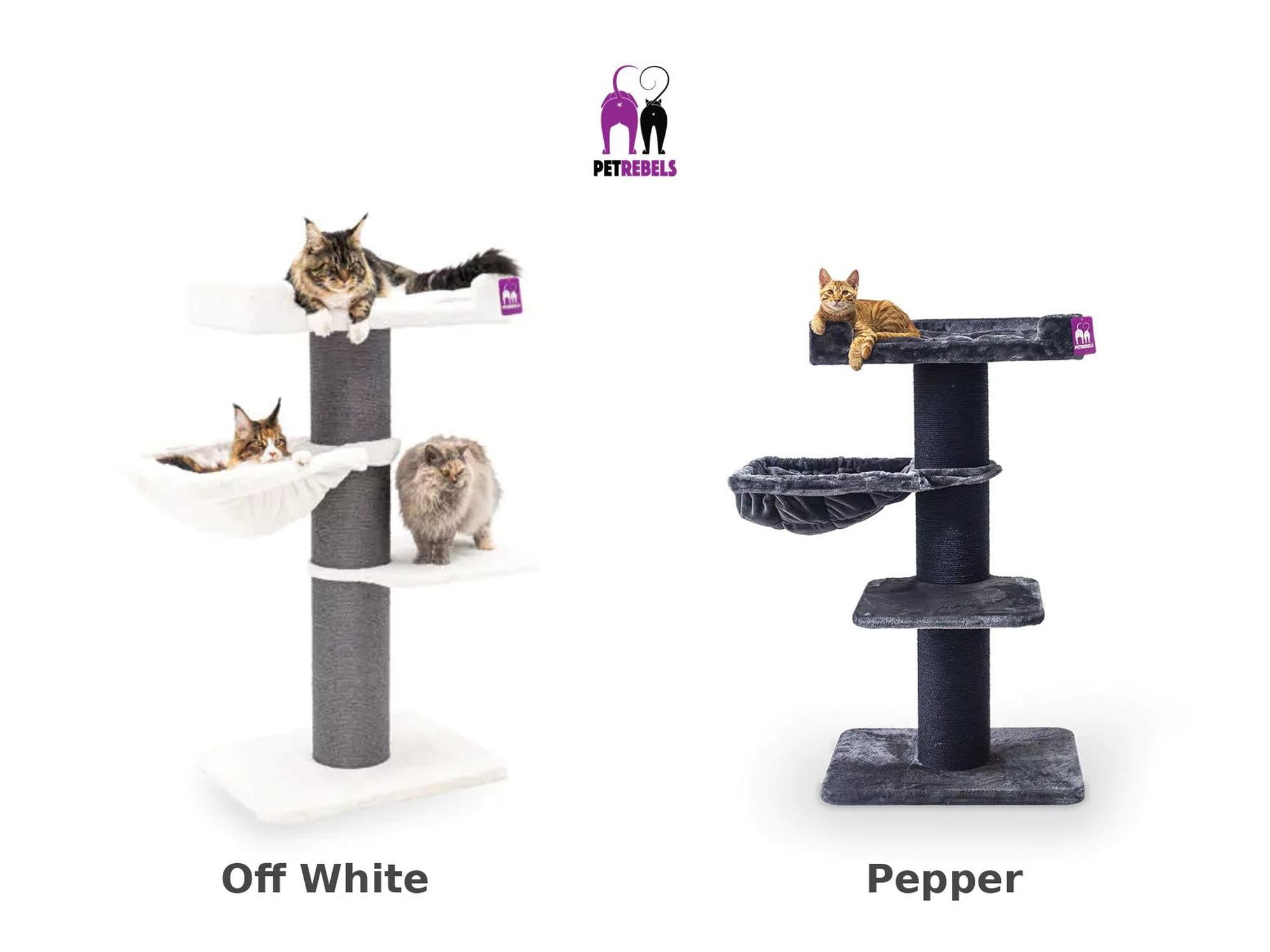 The Rebels Maine Coon 127 kloretre i off-white med grå sisalstolper, en hengekøye og to katter.