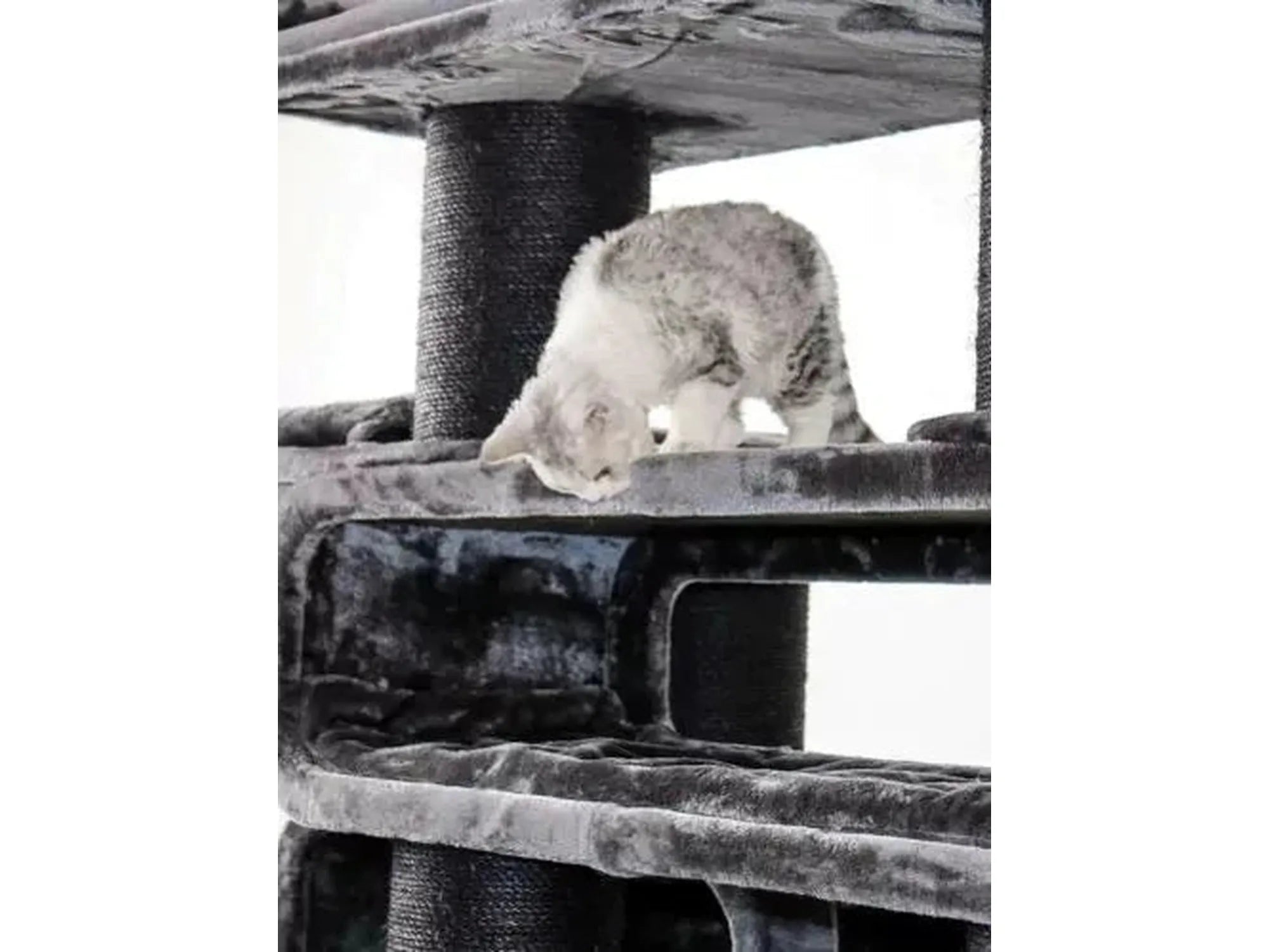Gråstripet katt på et stort, mørkegrått Petrebels Cat Tree Norwegian 200 klorestativ.