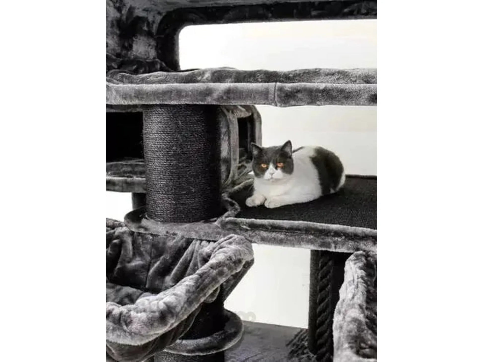 Stor, grå XXL klorestativ The Rebels Norwegian 200 med flere nivåer, sisalstolper og en katt.