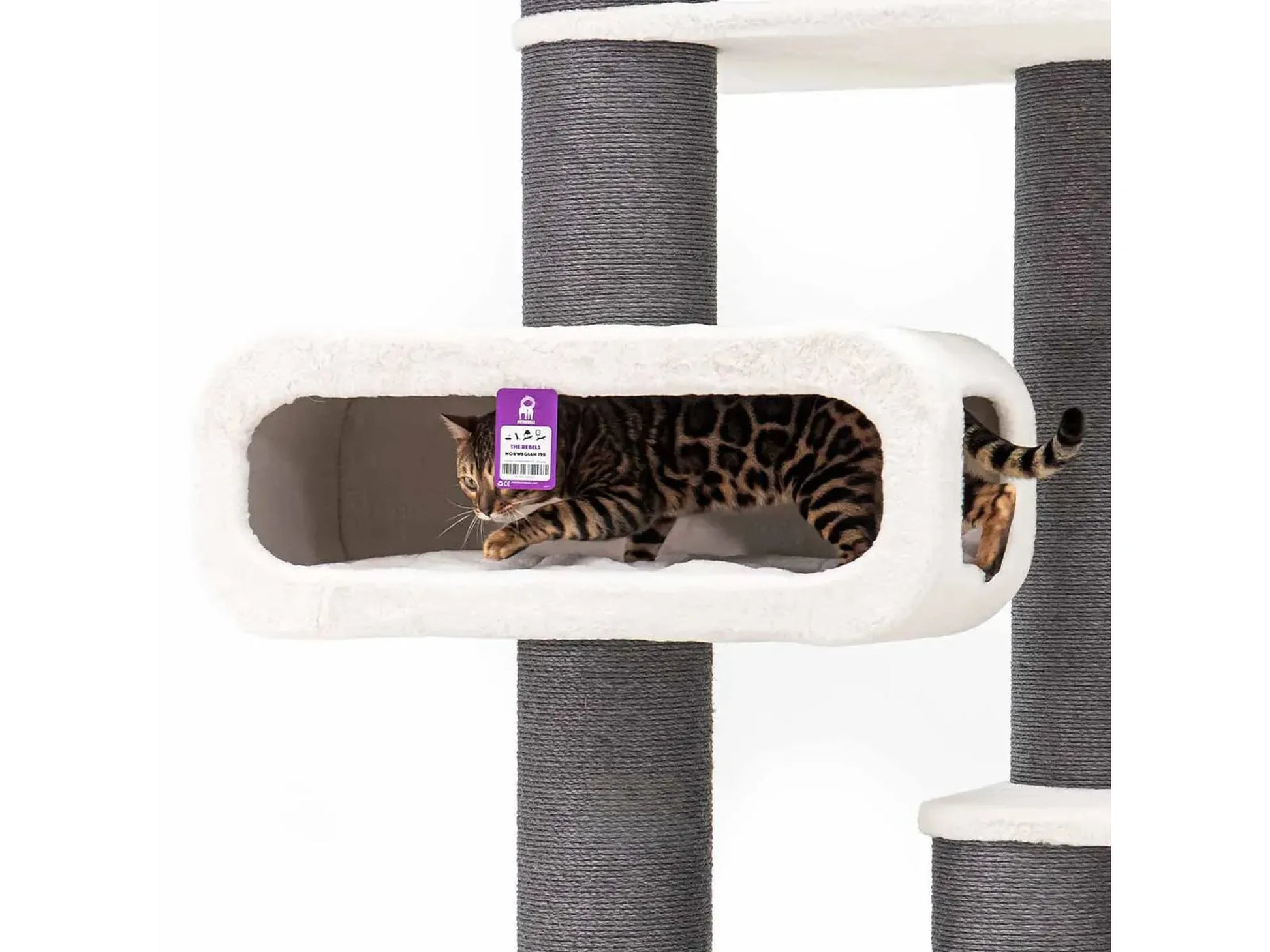 Bengal cat in a white plush tunnel on a large gray and white multi-level cat tree.