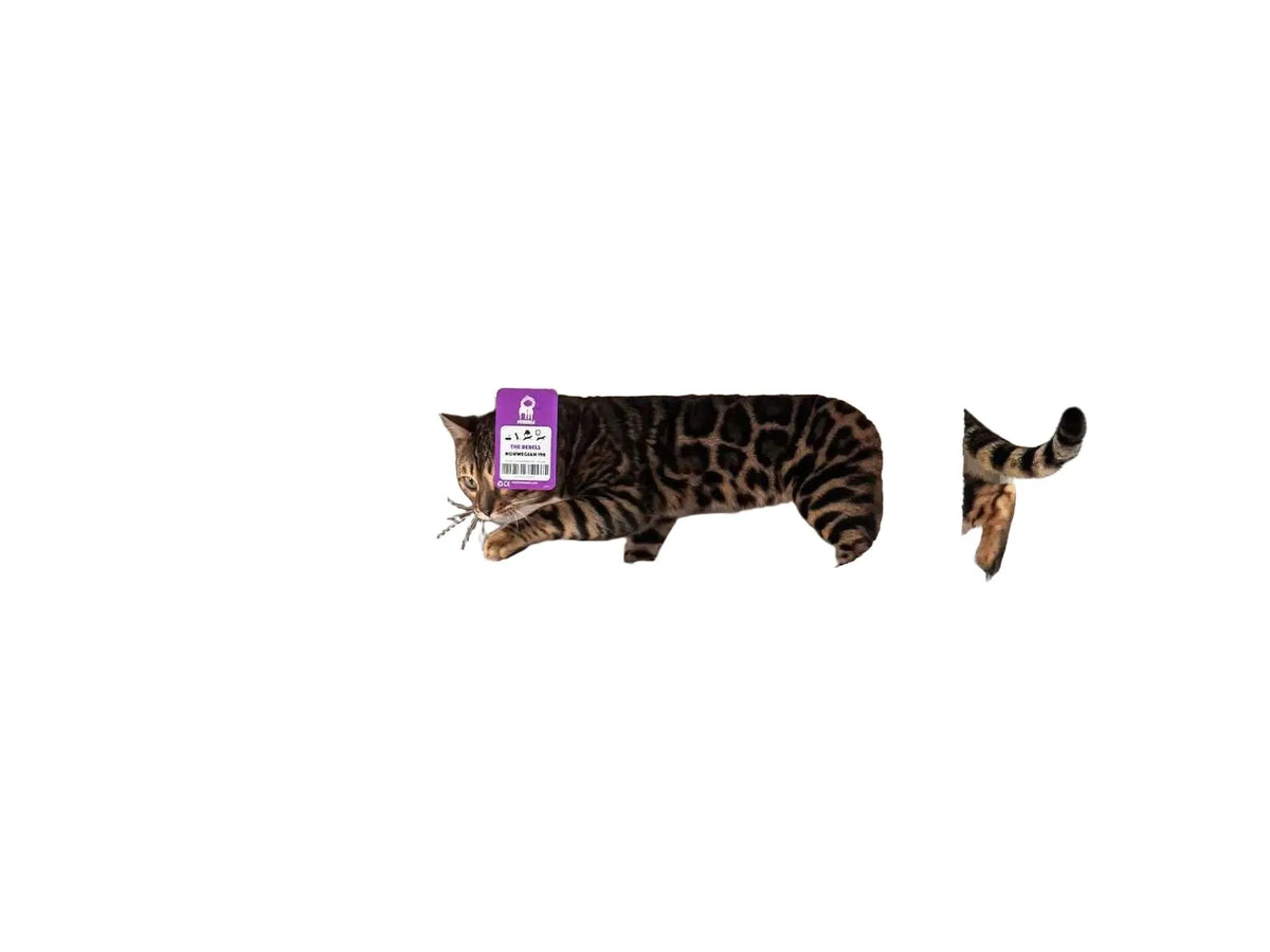 Bengal cat in a white plush tunnel on a large gray and white multi-level cat tree.