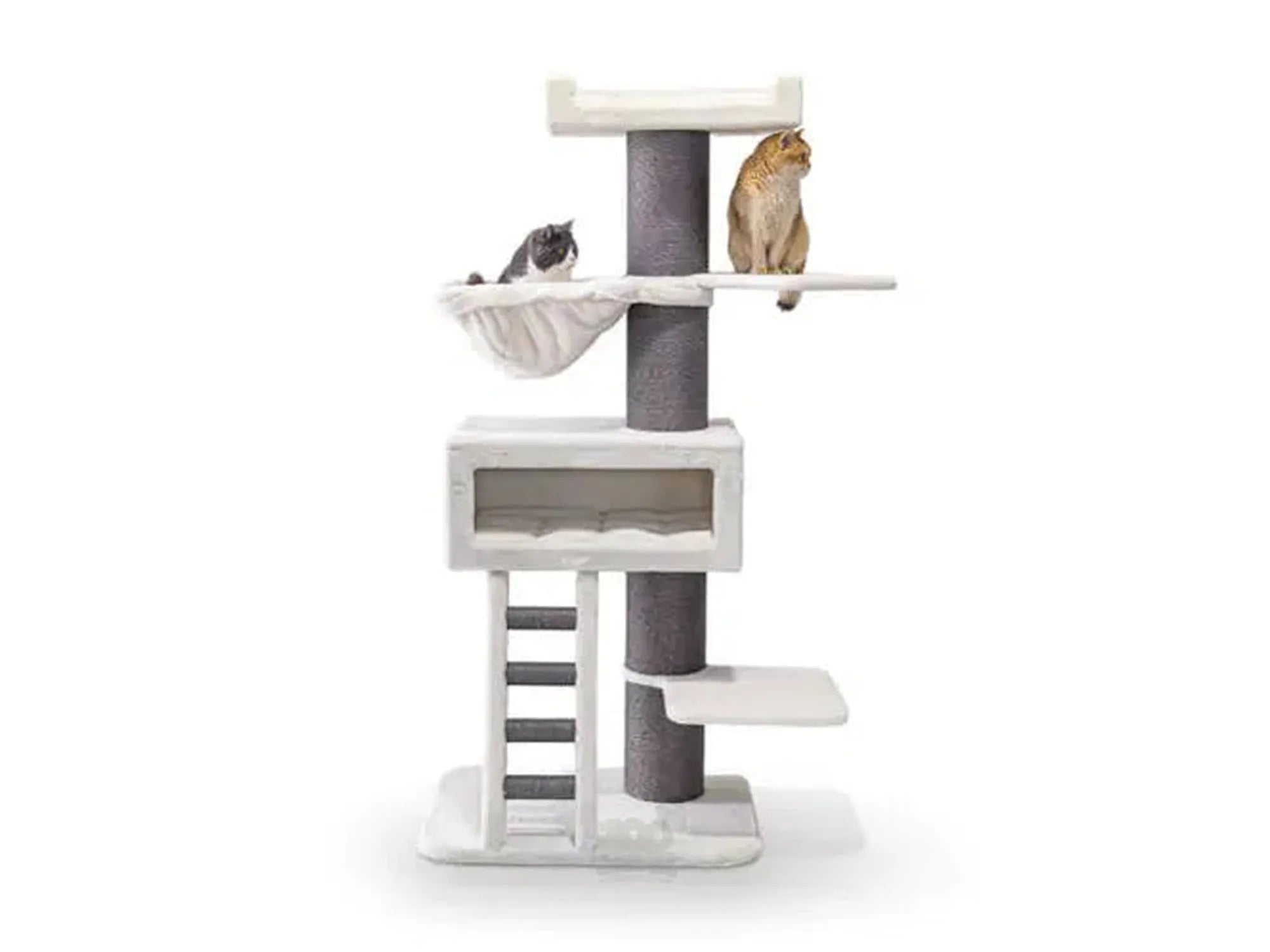 The Rebels Ragdoll 179 (78x55x179cm) - Petrebels