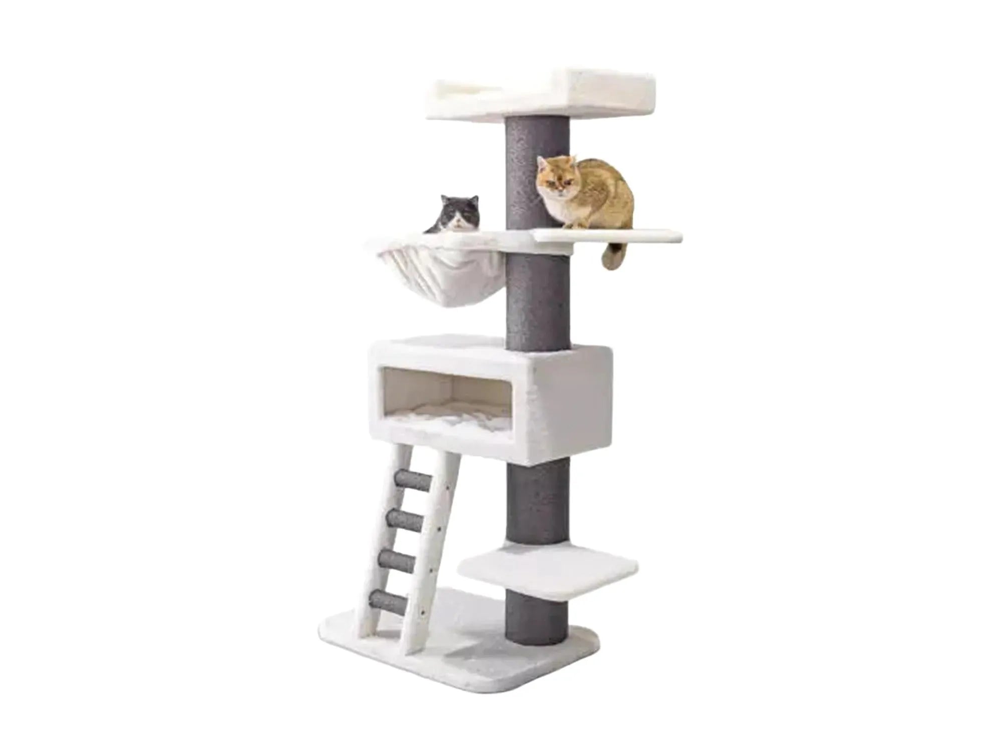 Off-white og grått Petrebels Ragdoll 179 kloretre med to katter, sisalstolper, hengekøye og stige.