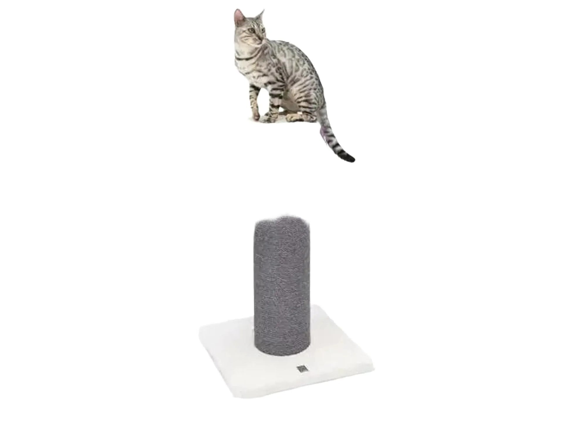 Grå og hvit Petrebels Savannah 86 klorestativ med tykk sisalstolpe og stor base, med en katt på toppen.