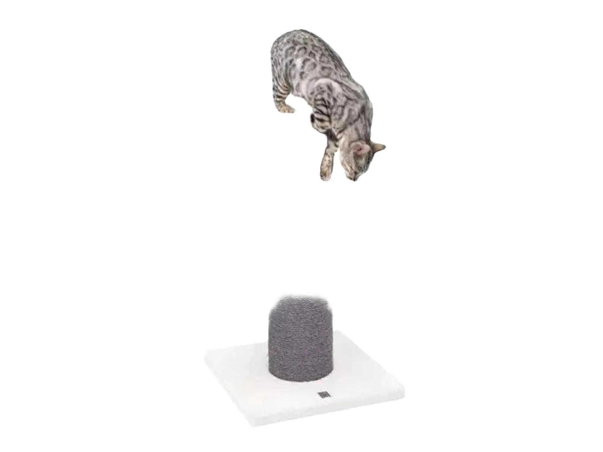 Grå Petrebels Savannah 86 klorestativ med tykk sisalstolpe og hvit base, en Bengal-katt på toppen.