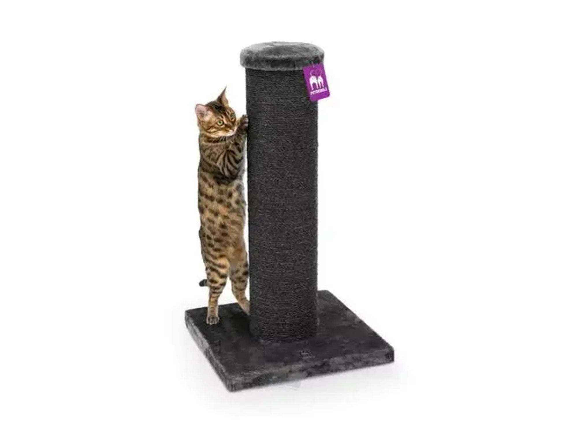 Brunstripet katt klorer på et stabilt, mørkegrått Petrebels Savannah 86 klorestativ med sisaltau.
