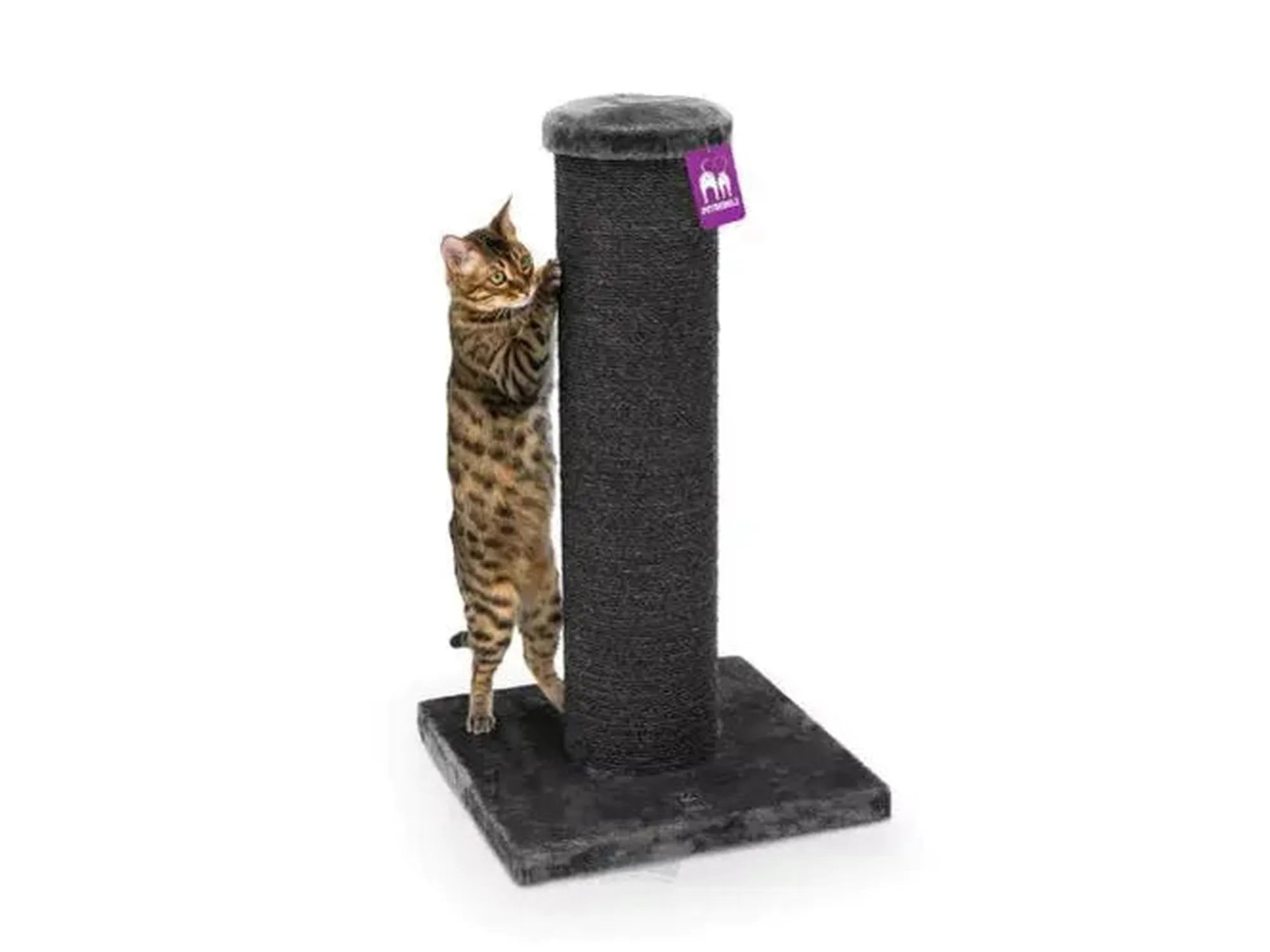 Brunstripet katt klorer på et stabilt, mørkegrått Petrebels Savannah 86 klorestativ med sisaltau.