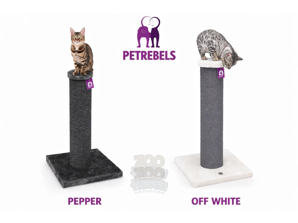 The Rebels Savannah 86 (50x50x86cm) - Petrebels