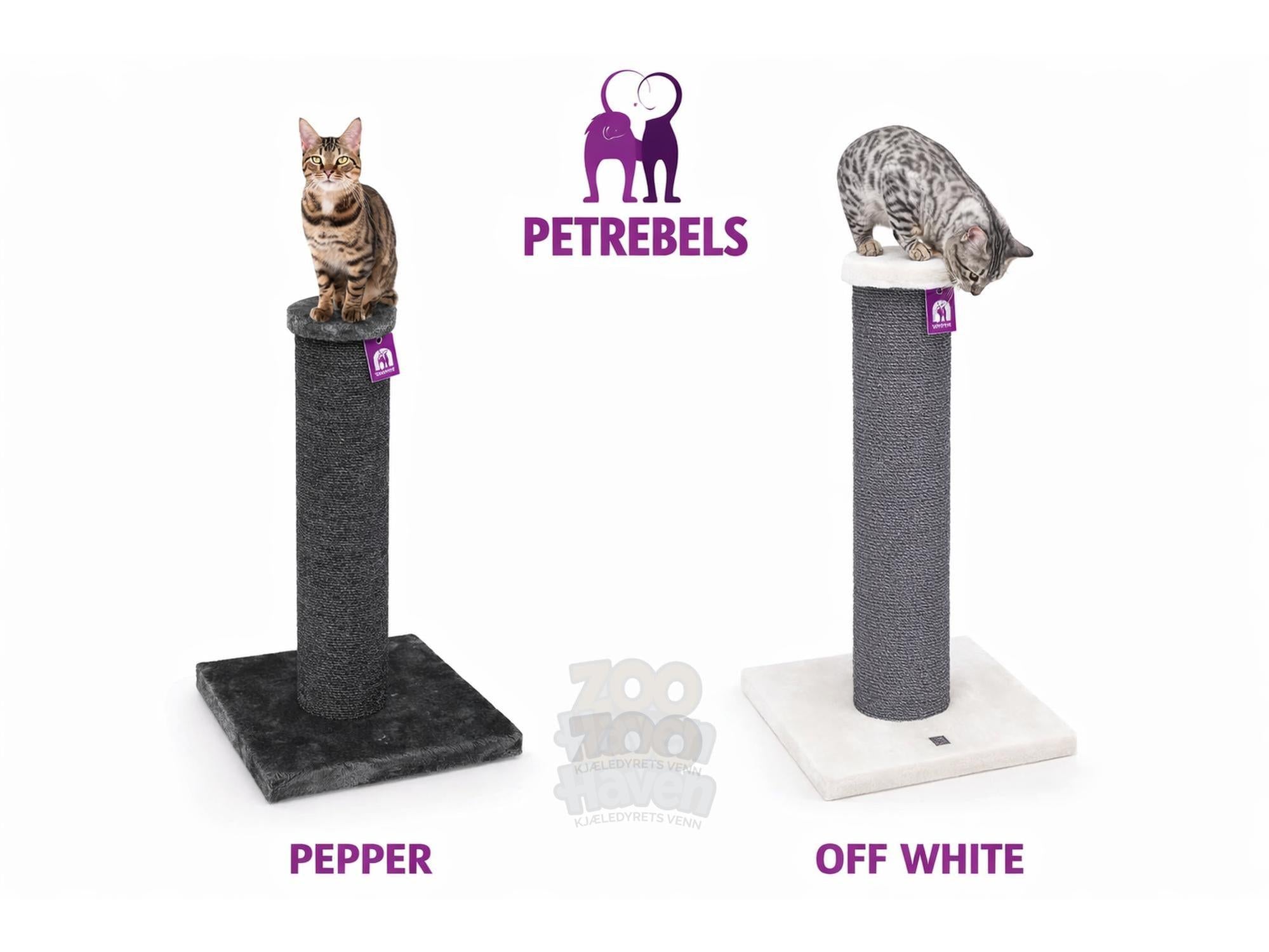 The Rebels Savannah 86 (50x50x86cm) - Petrebels