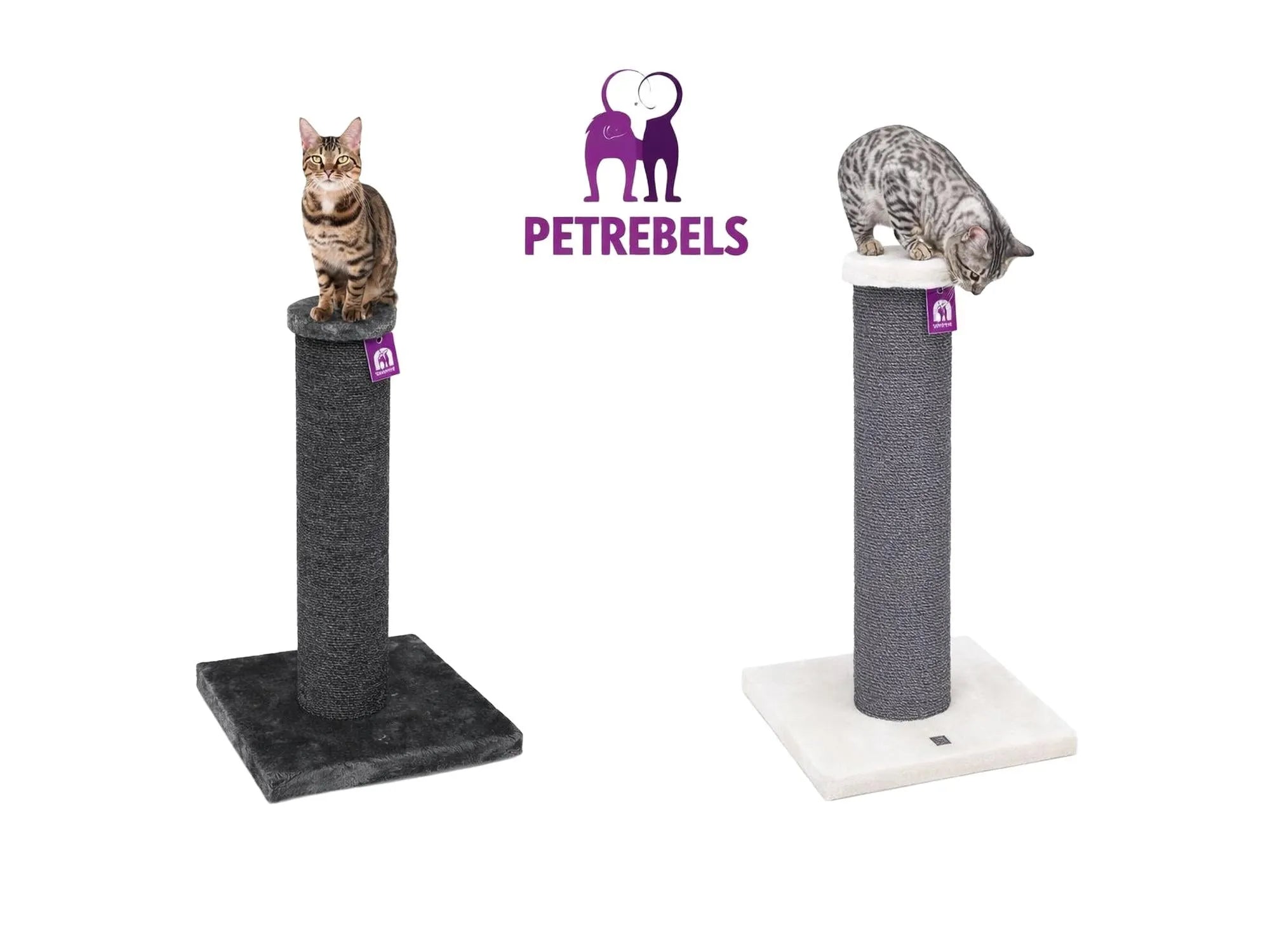 Mørkegrå Petrebels Savannah 86 klorestativ med tykk sisalstolpe og stor base, en katt klorer.