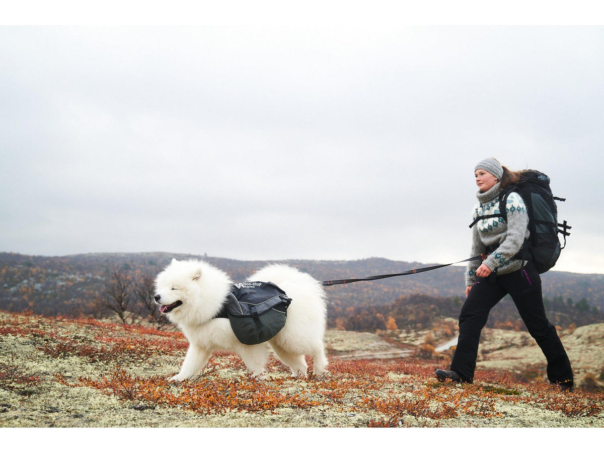 Non-stop dogwear Touring bungee adjustable justerbart strikkbånd – Svart/grå