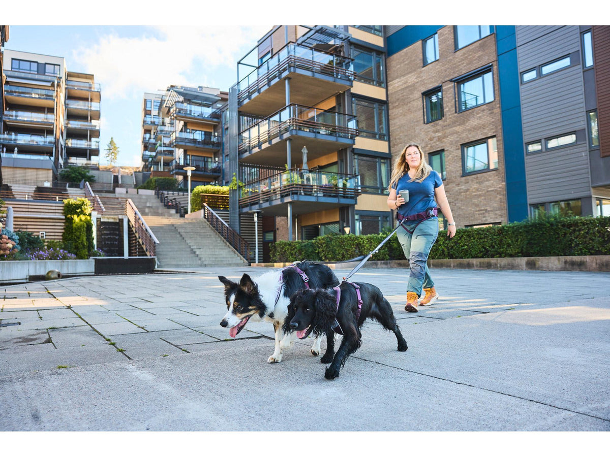 Non-stop dogwear Touring double koblingsbånd for to hunder – Svart/grå