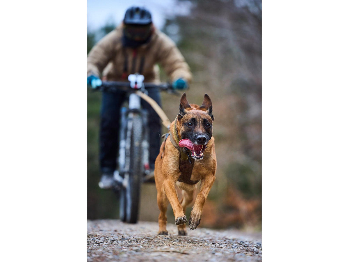 Non-stop dogwear Touring bungee WD strikkbånd – Svart – modellen vist i annen farge