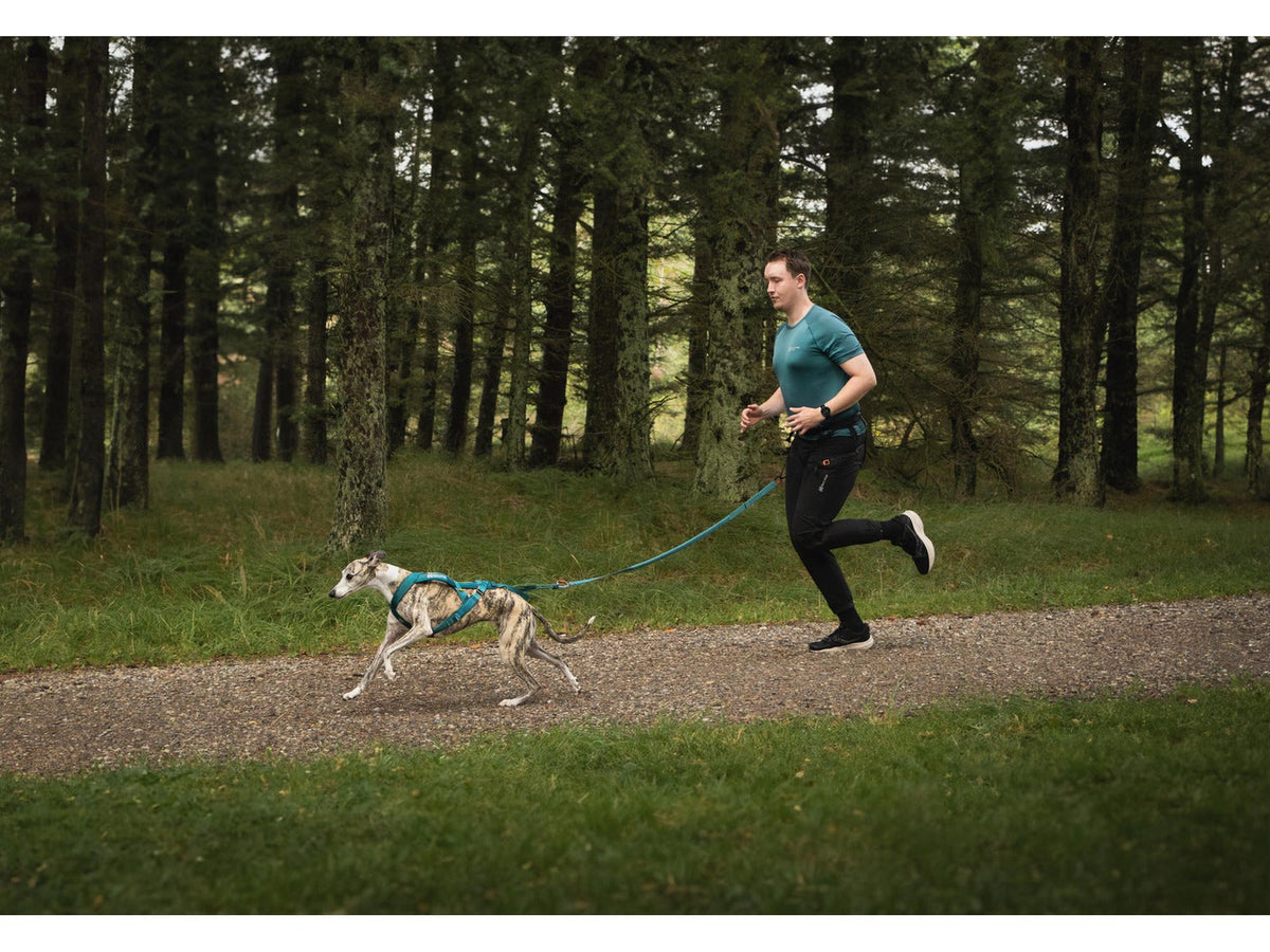 Non-stop dogwear Touring bungee strikkbånd – Teal