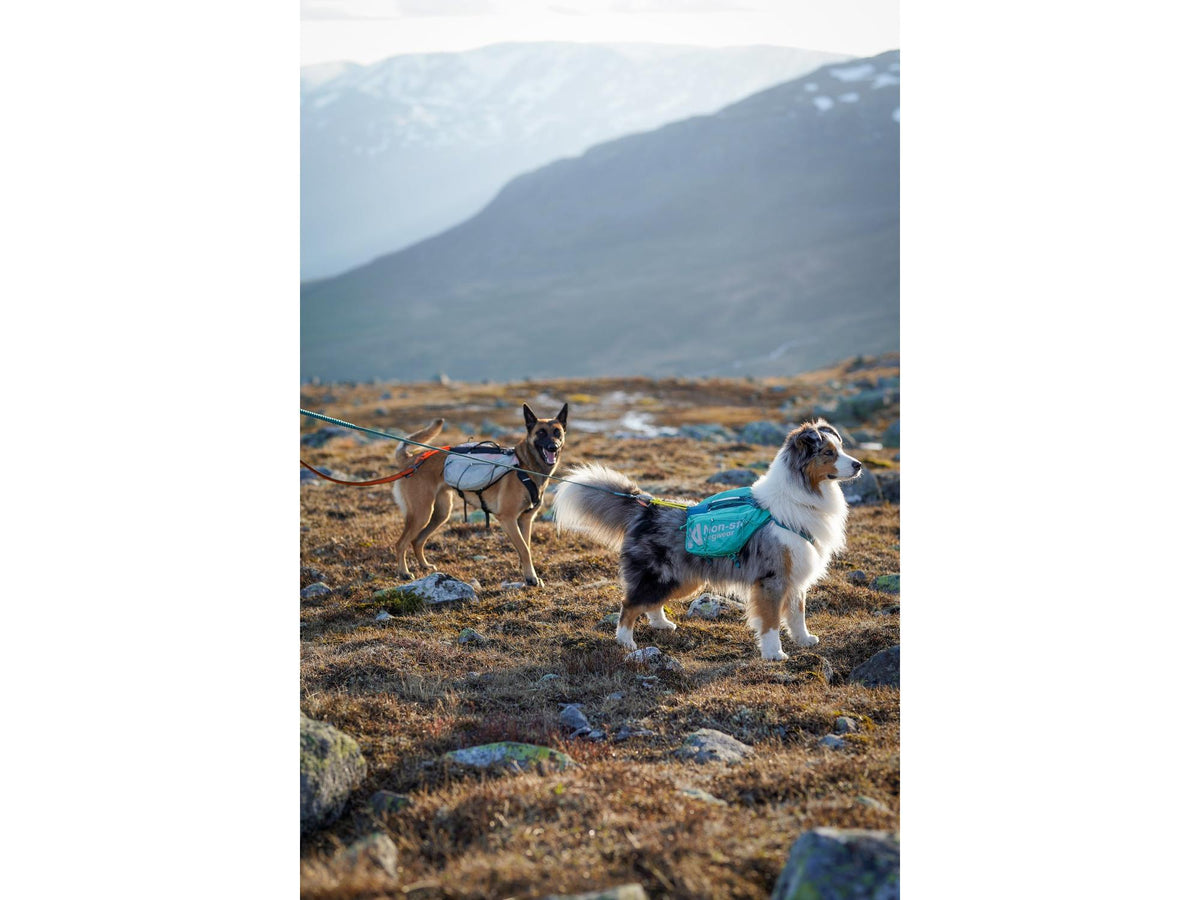 Non-stop dogwear Trail light dog backpack hundesekk – Teal