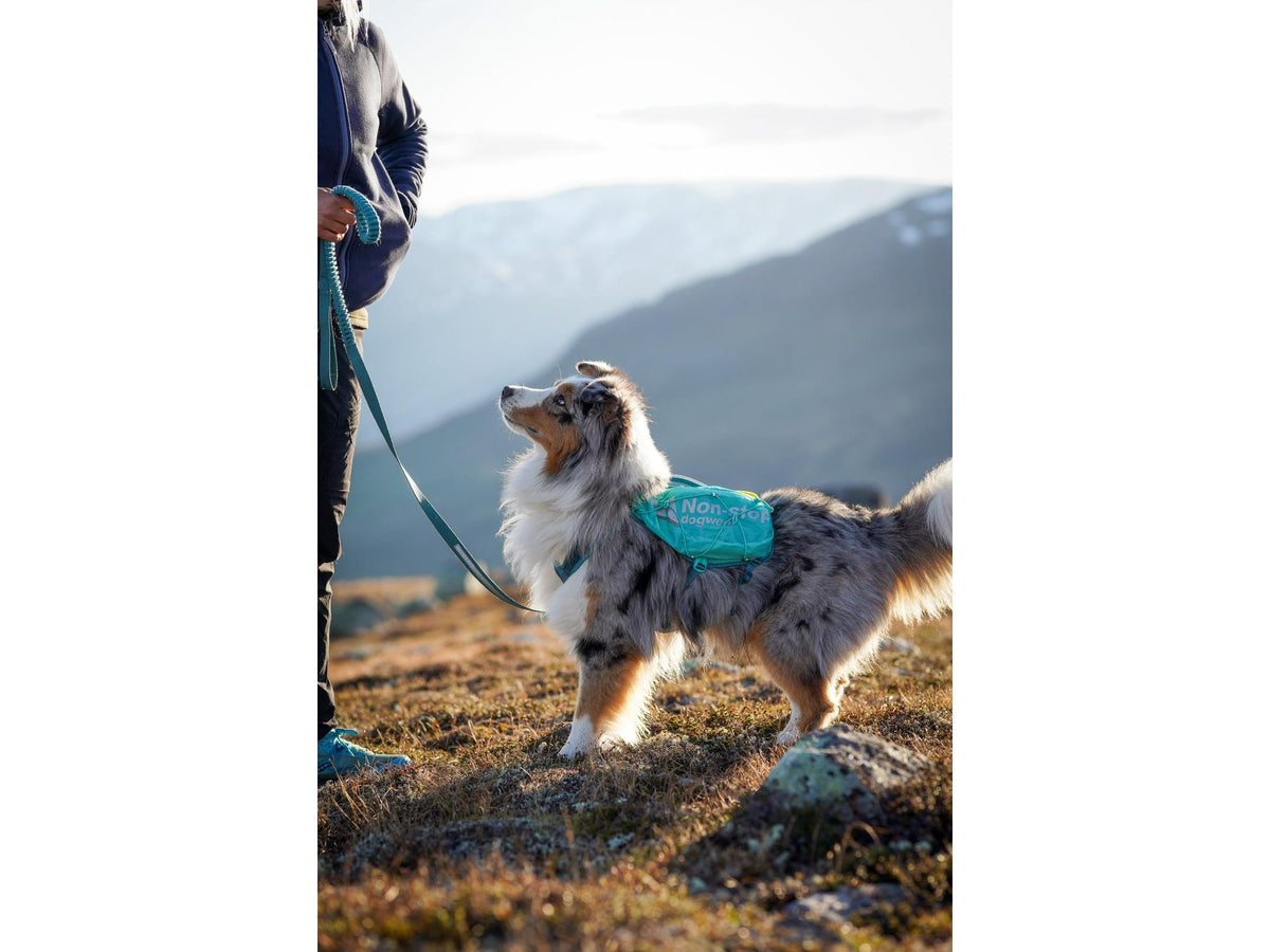 Non-stop dogwear Trail light dog backpack hundesekk – Teal