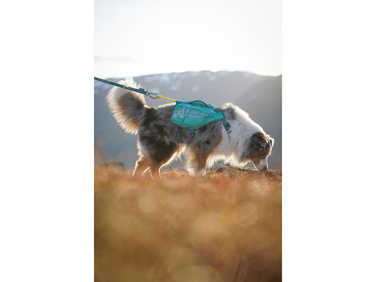 Non-stop dogwear Trail light dog backpack hundesekk – Teal