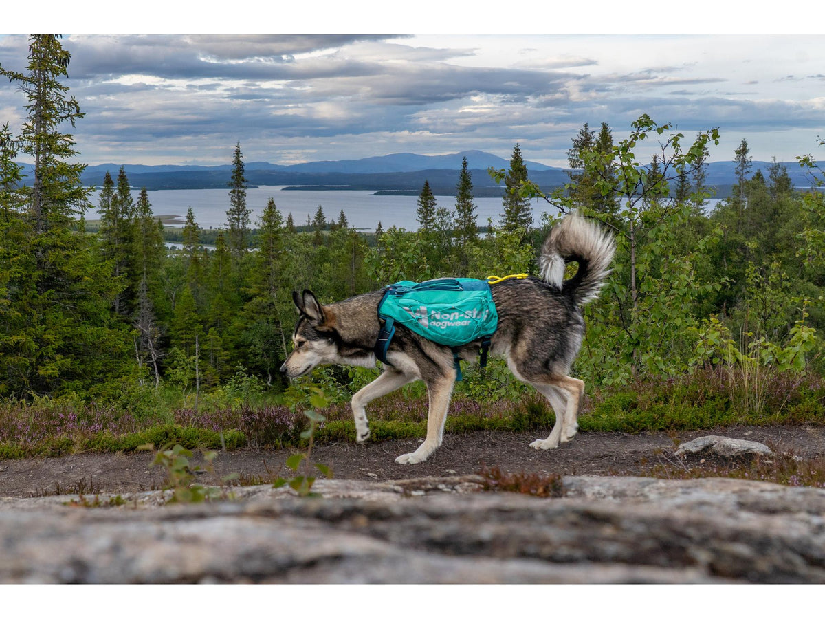 Non-stop dogwear Trail light dog backpack hundesekk – Teal