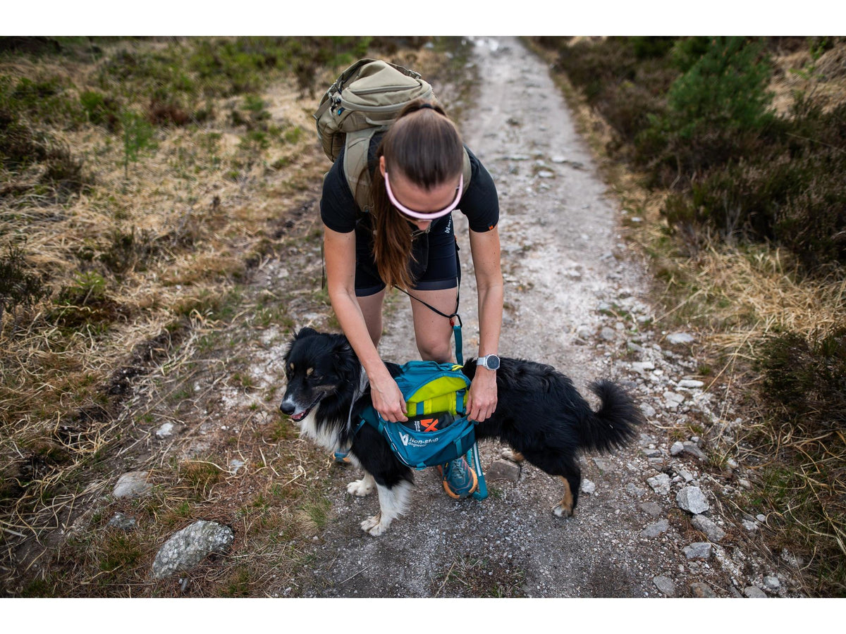 Non-stop dogwear Trail quest dog backpack hundesekk – Mørk teal