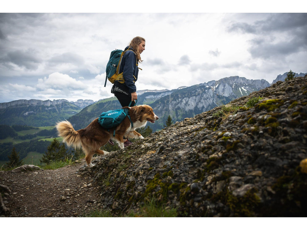 Non-stop dogwear Trail quest dog backpack hundesekk – Mørk teal