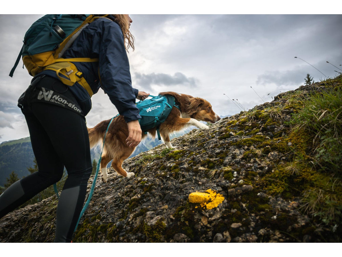 Non-stop dogwear Trail quest dog backpack hundesekk – Mørk teal
