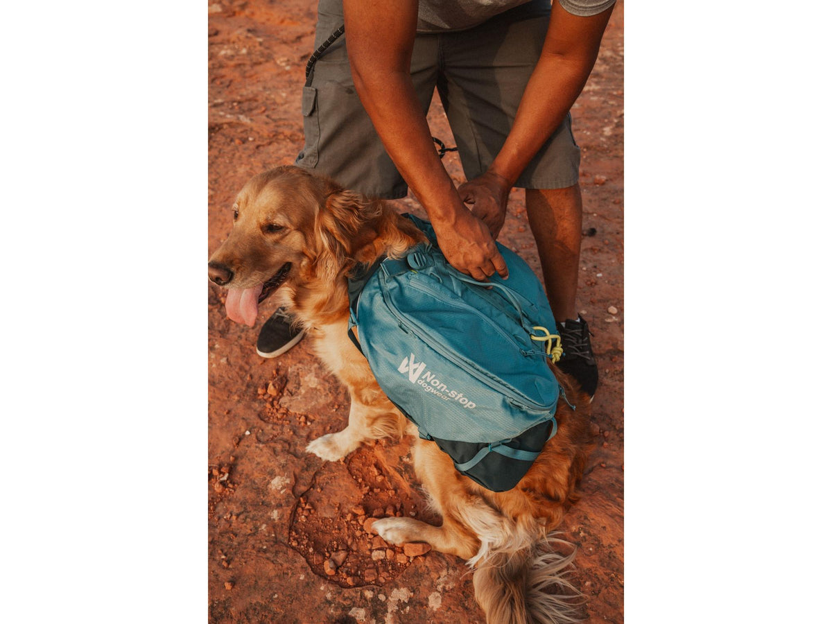 Non-stop dogwear Trail quest dog backpack hundesekk – Mørk teal