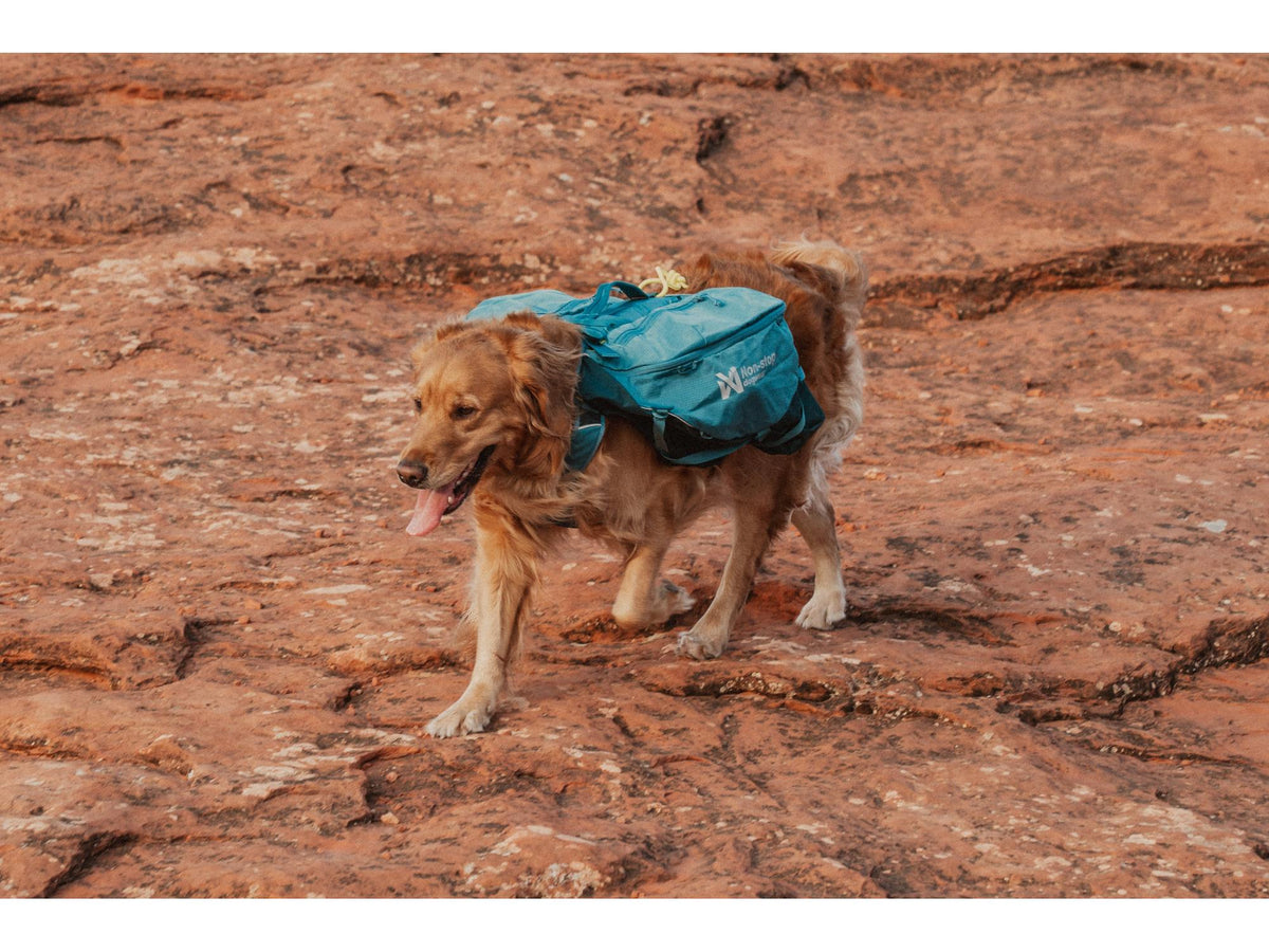 Non-stop dogwear Trail quest dog backpack hundesekk – Mørk teal