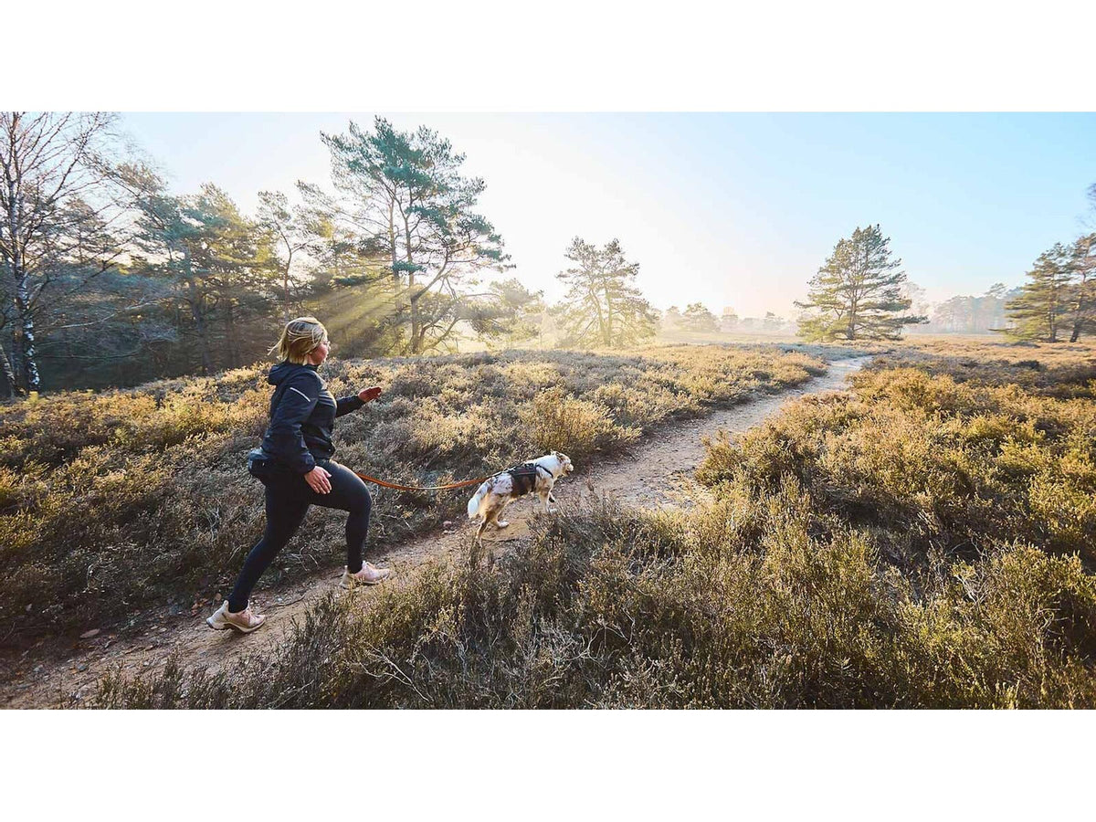 Non-stop dogwear Trail light belt løpebelte – Svart