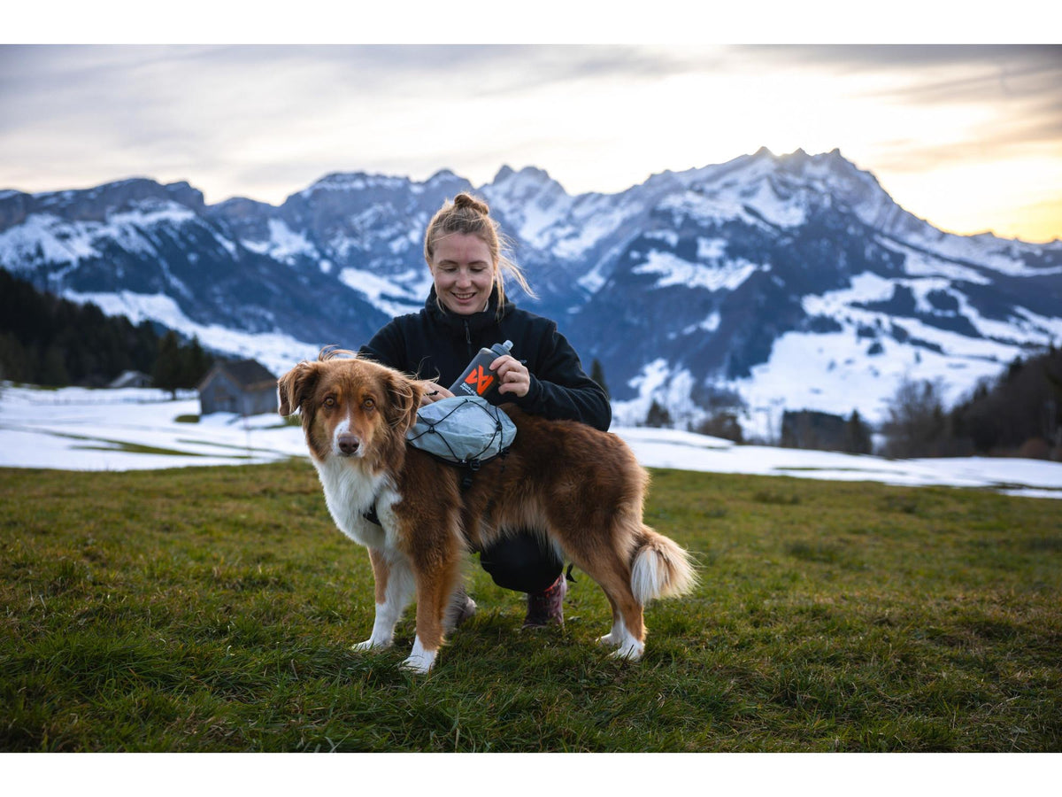 Non-stop dogwear Trail light dog backpack hundesekk – Isgrå