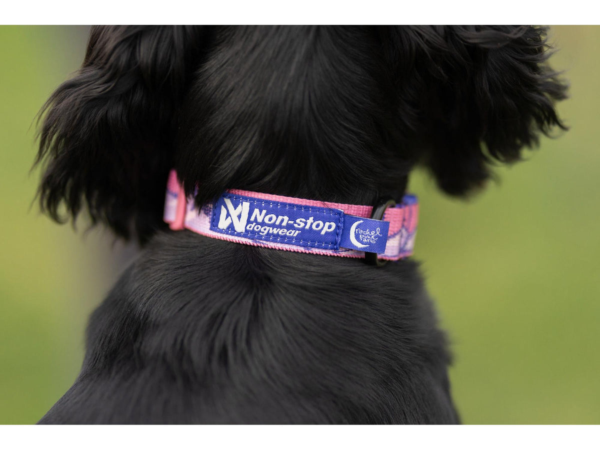 Non-stop dogwear Trail quest collar RP signature edition halsbånd – Lilla/rosa