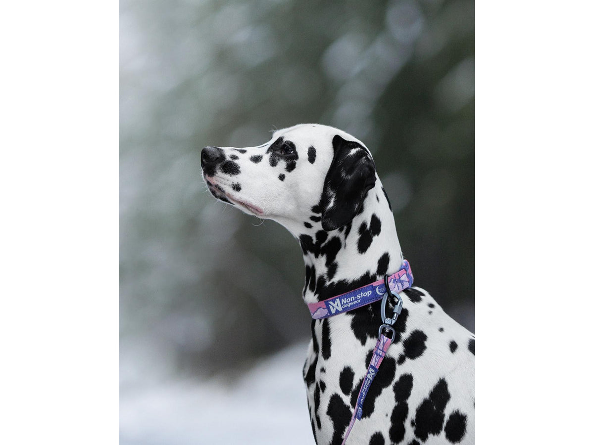 Non-stop dogwear Trail quest collar RP signature edition halsbånd – Lilla/rosa