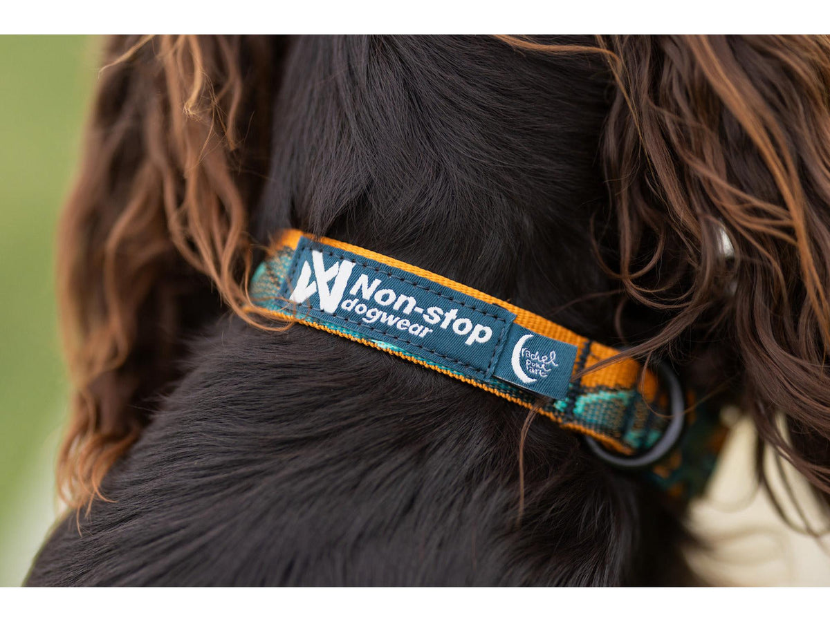 Non-stop dogwear Trail quest collar RP signature edition halsbånd – Lilla/rosa – modellen vist i annen farge
