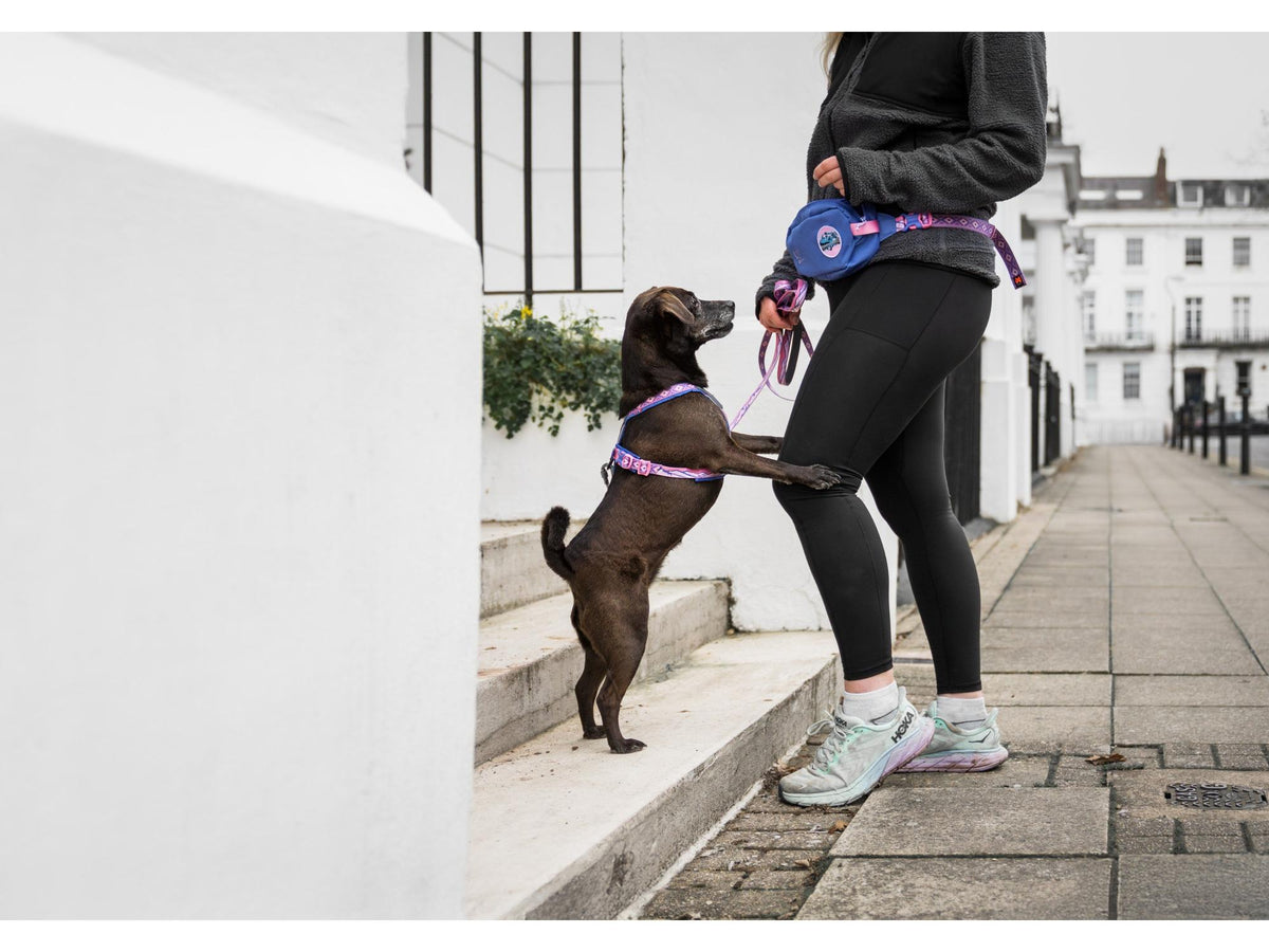 Non-stop dogwear Trail quest fanny pack RP signature edition – Lilla/rosa