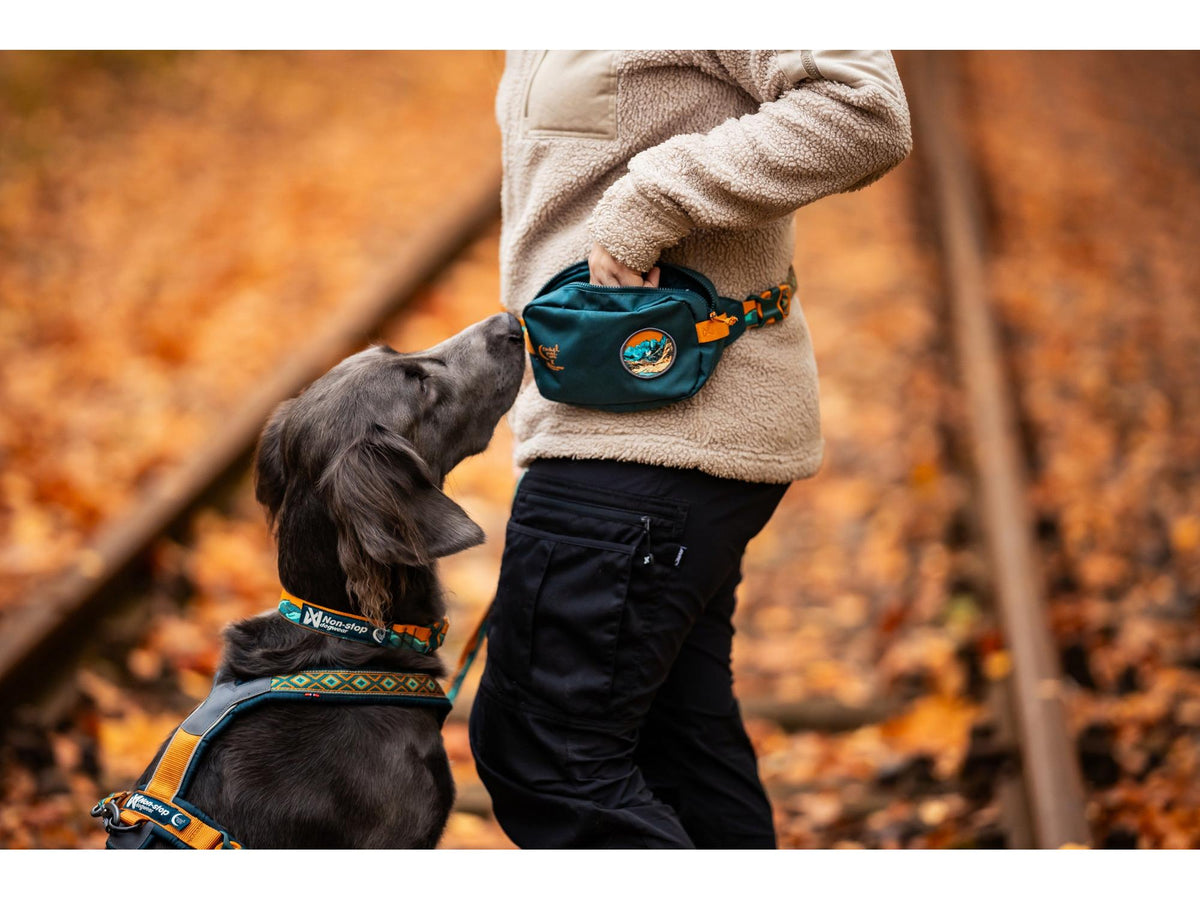 Non-stop dogwear Trail quest fanny pack RP signature edition – Teal/eik