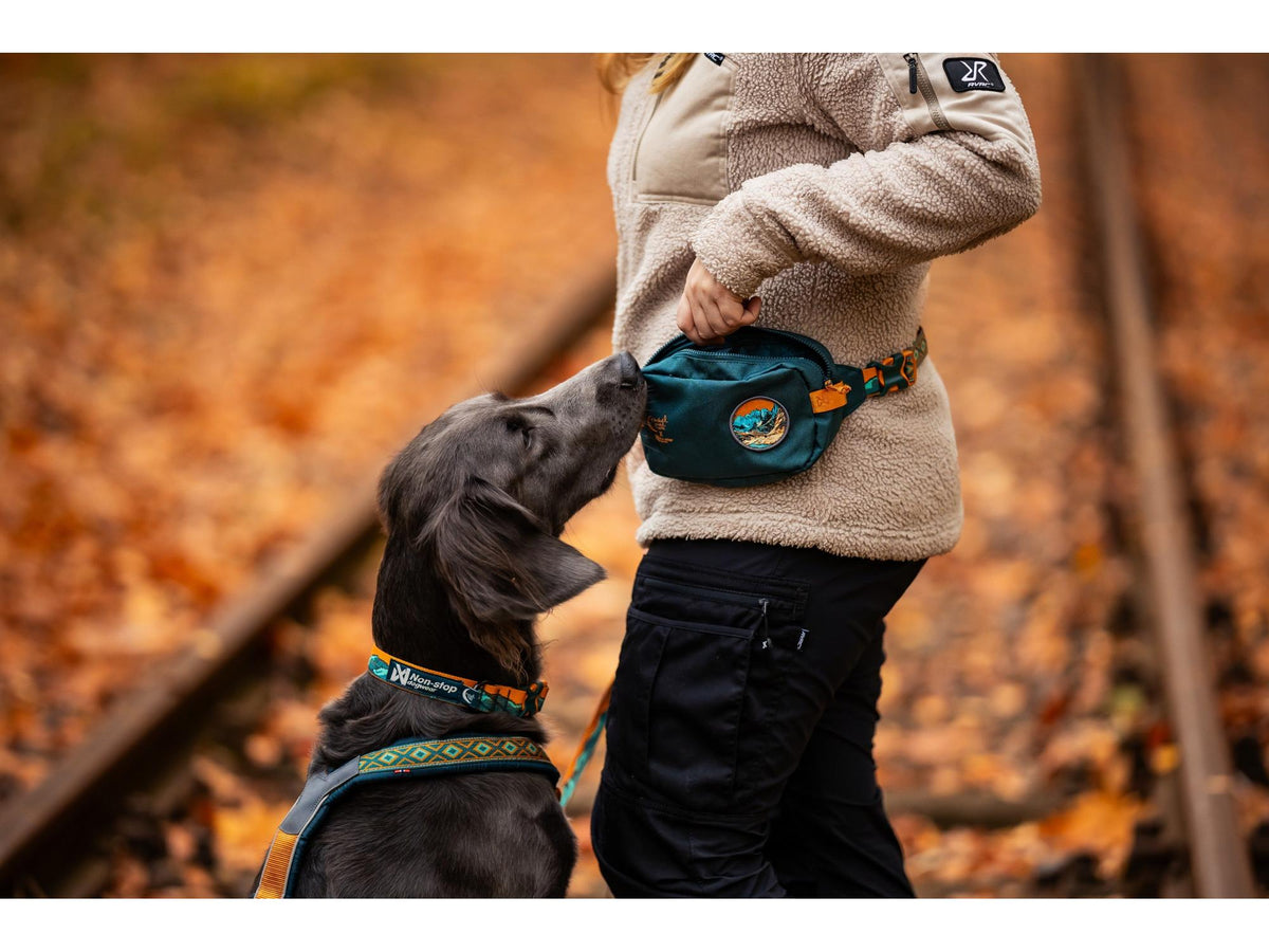 Non-stop dogwear Trail quest fanny pack RP signature edition – Lilla/rosa