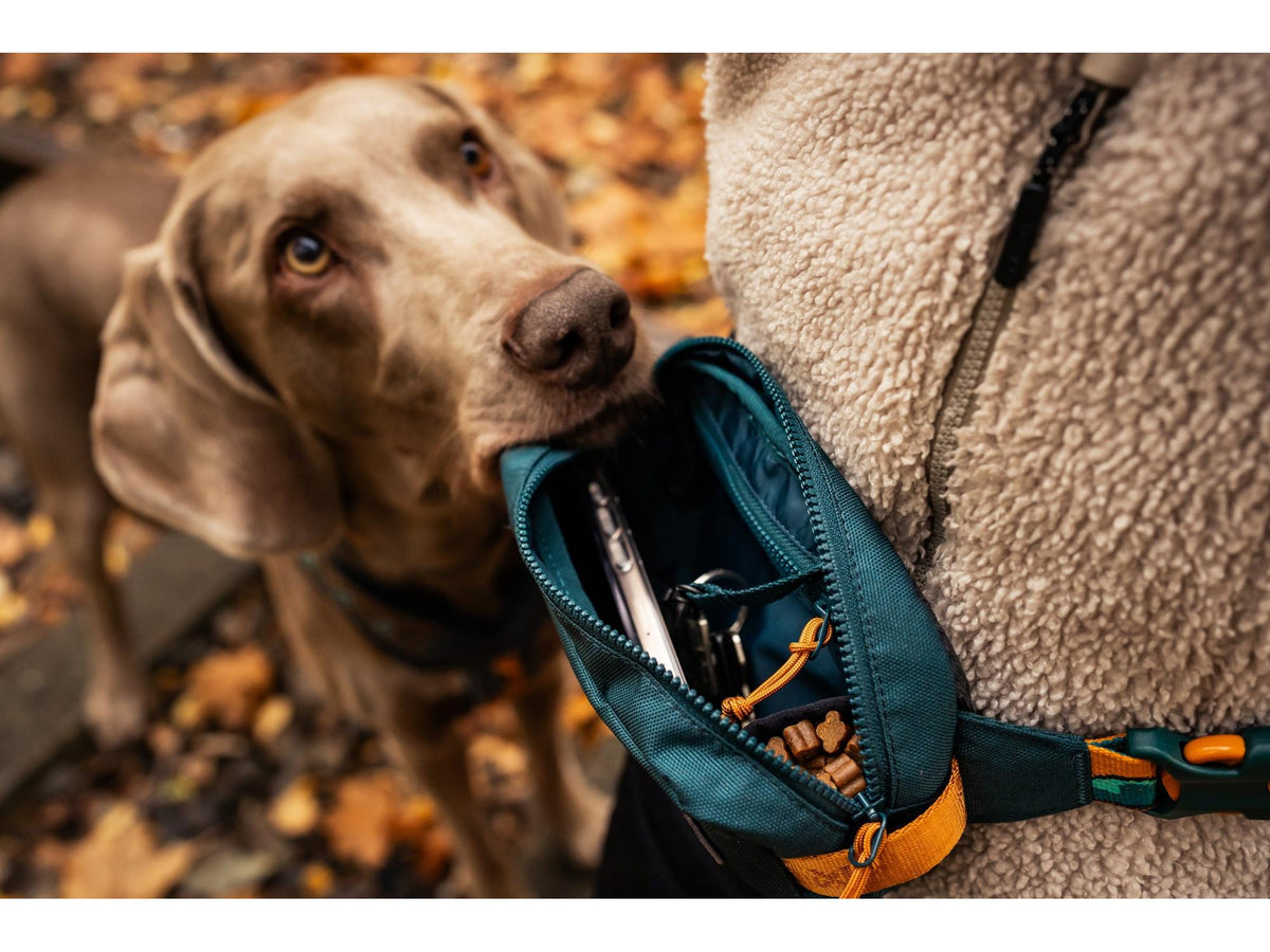 Non-stop dogwear Trail quest fanny pack RP signature edition – Teal/eik