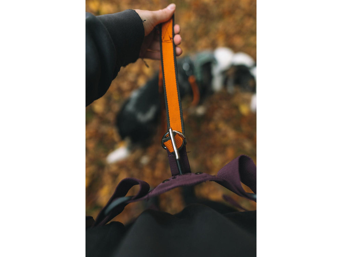 Non-stop dogwear Trekking belt 2.0 trekkbelte – Lilla