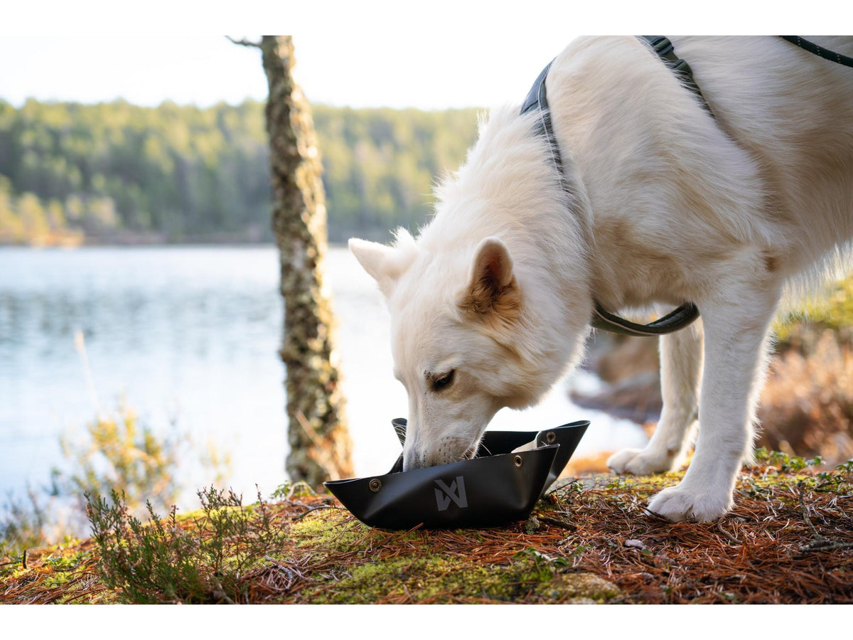 Non-stop dogwear Trekking bowl sammenleggbar turskål – Svart