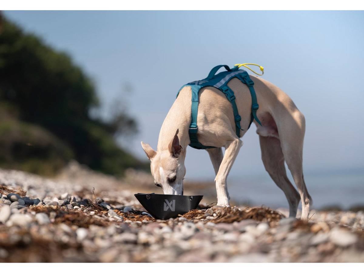 Non-stop dogwear Trekking bowl sammenleggbar turskål – Svart