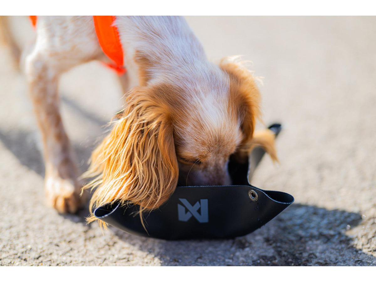 Non-stop dogwear Trekking bowl sammenleggbar turskål – Svart