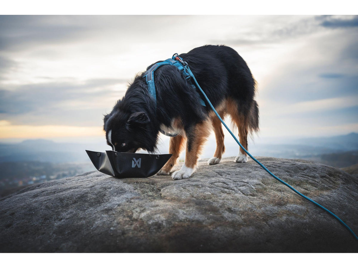Non-stop dogwear Trekking bowl sammenleggbar turskål – Svart