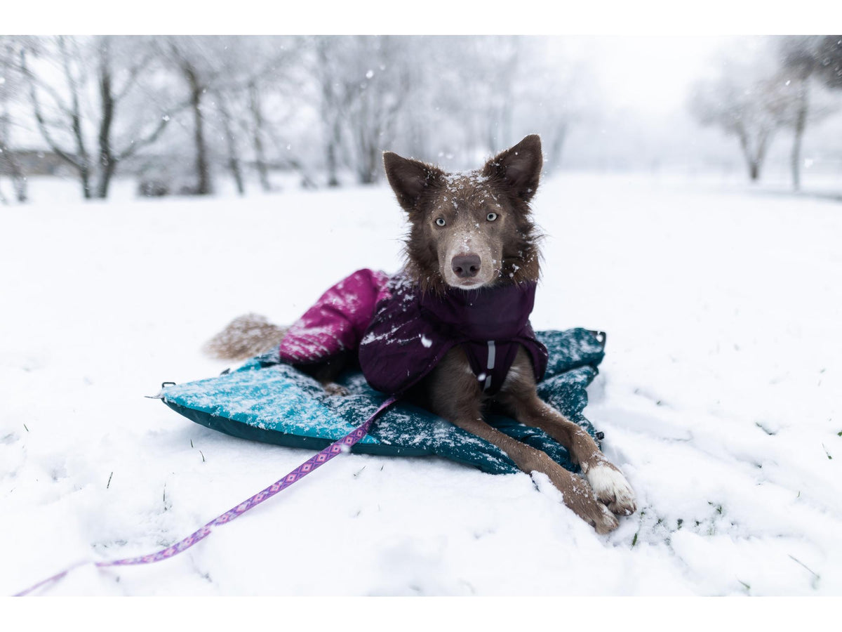 Non-stop dogwear Trekking dog bed campingseng – Mørk teal