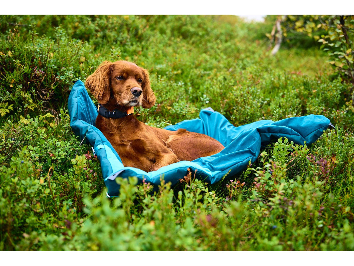 Non-stop dogwear Trekking dog bed campingseng – Mørk teal