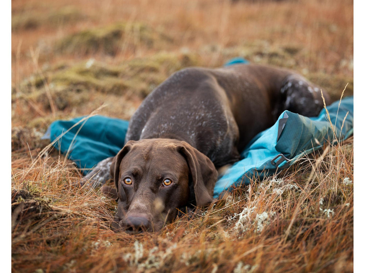 Non-stop dogwear Trekking dog bed campingseng – Mørk teal